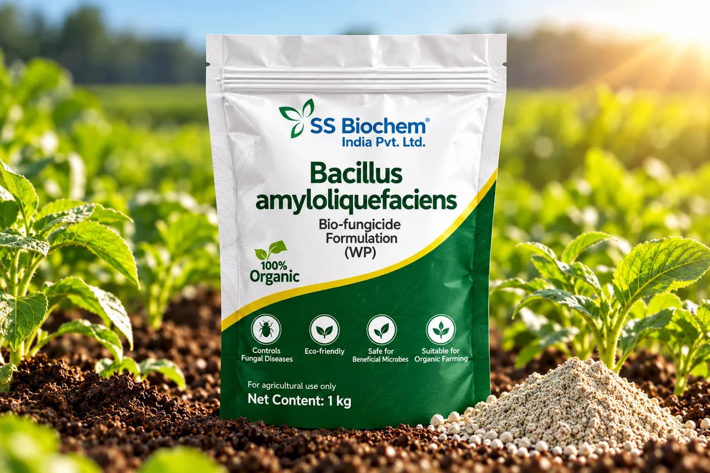 Bacillus amyloliquefaciens supplied by SS Biochem, shown in the field