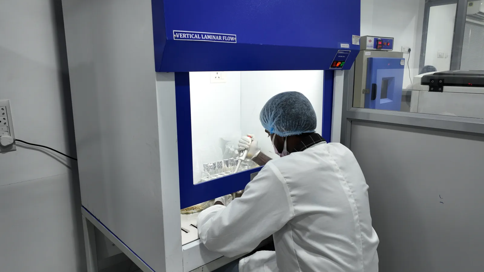 Microbiological work at the vertical laminar flow cabinet