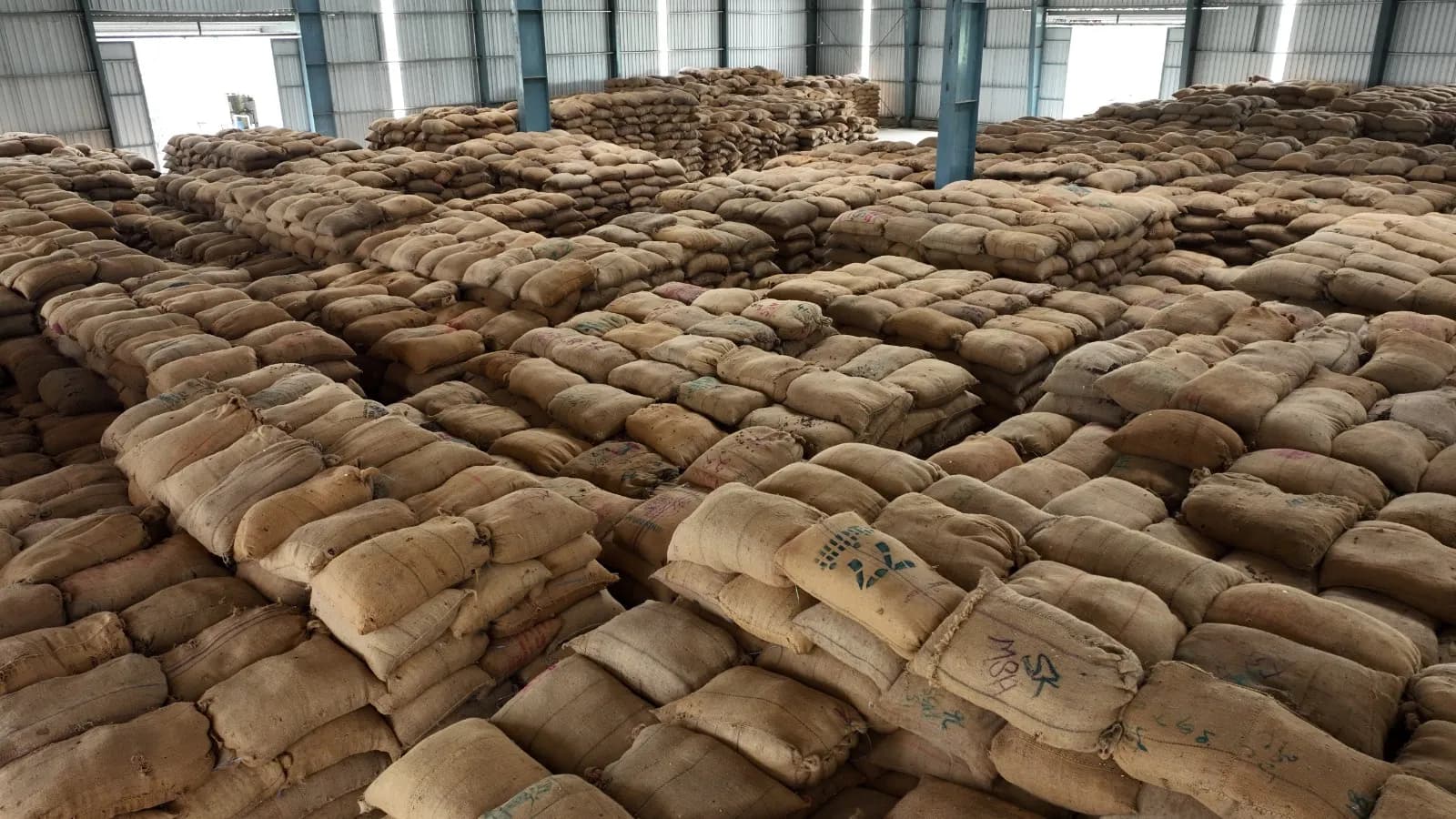 Jute sacks of seed stacked in the raw material store