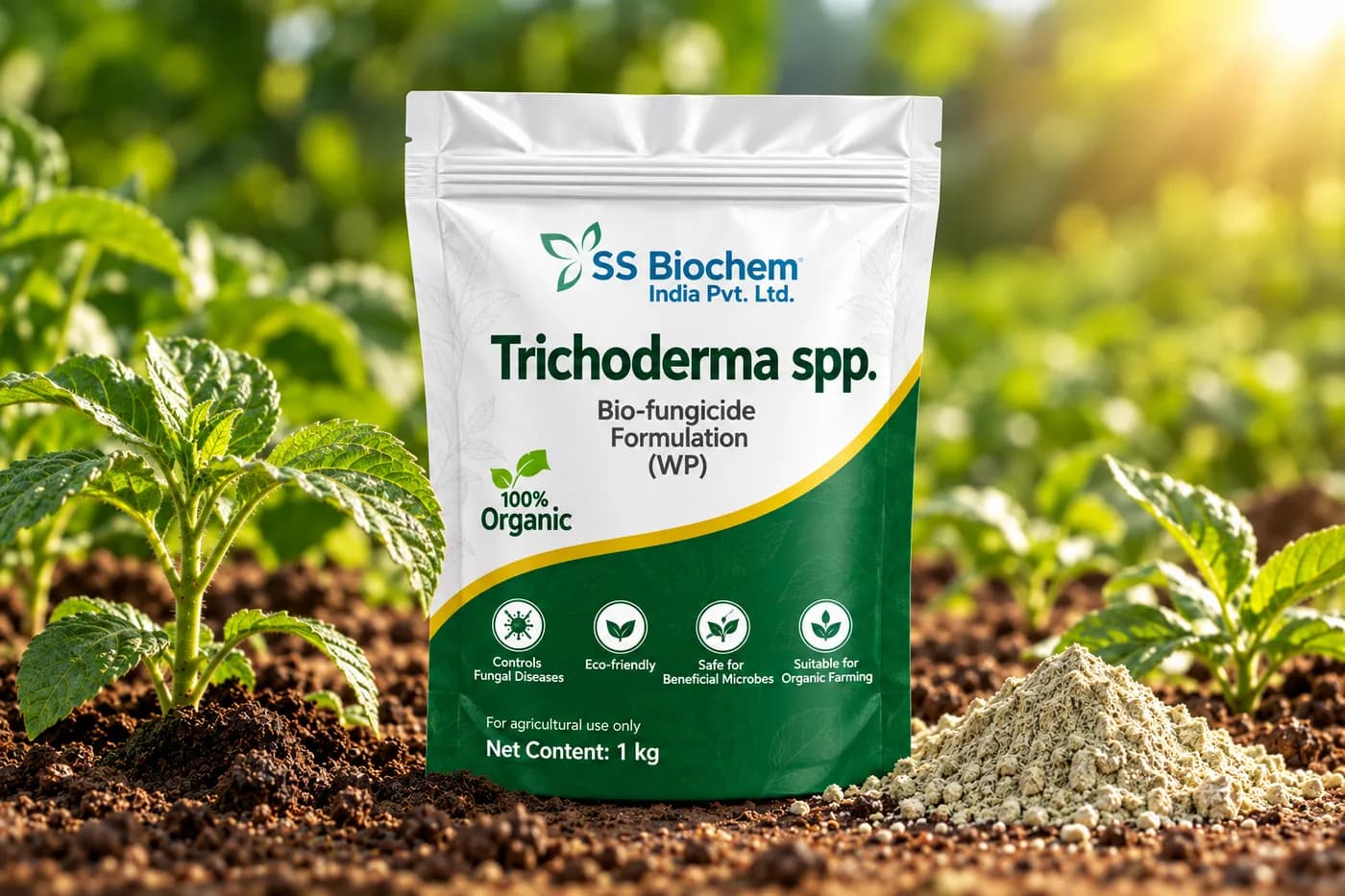 Trichoderma spp. supplied by SS Biochem, shown in the field
